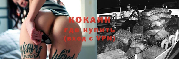 спайс Гусев