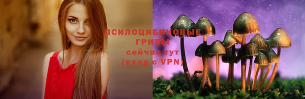 спайс Гусев