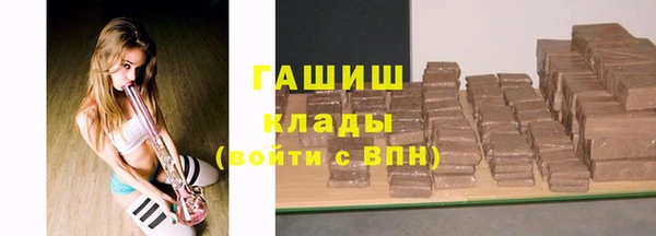 спайс Гусев