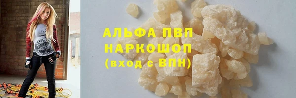 спайс Гусев