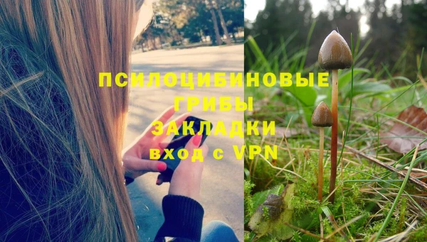 спайс Гусев